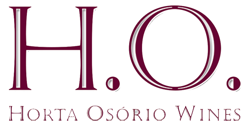 LOGO HO web